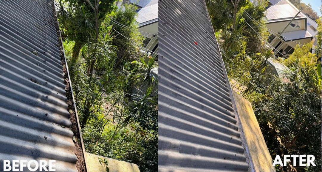 Before and after gutter cleaning on a corrugated metal roof