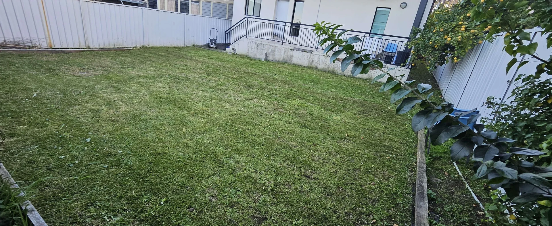 Freshly mowed and edged backyard lawn at a Sydney rental property