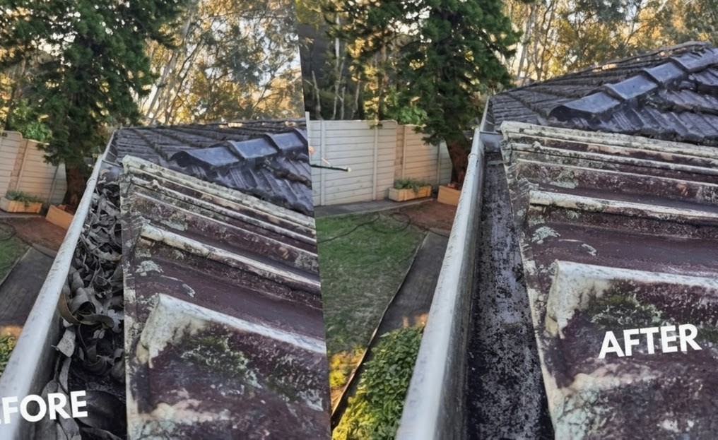 Before and after gutter cleaning removing gum leaves from a tile roof